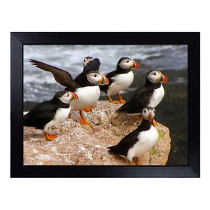 Atlantic Puffin Birds Art Lap Vassoio Imbottito Sacco Fagioli TV Scrivania Pranzo - Foto 1 di 4
