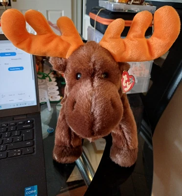 Ty Beanie Plush Buddy Bears Large Chocolate Moose Soft Toy - Image 1 of 4