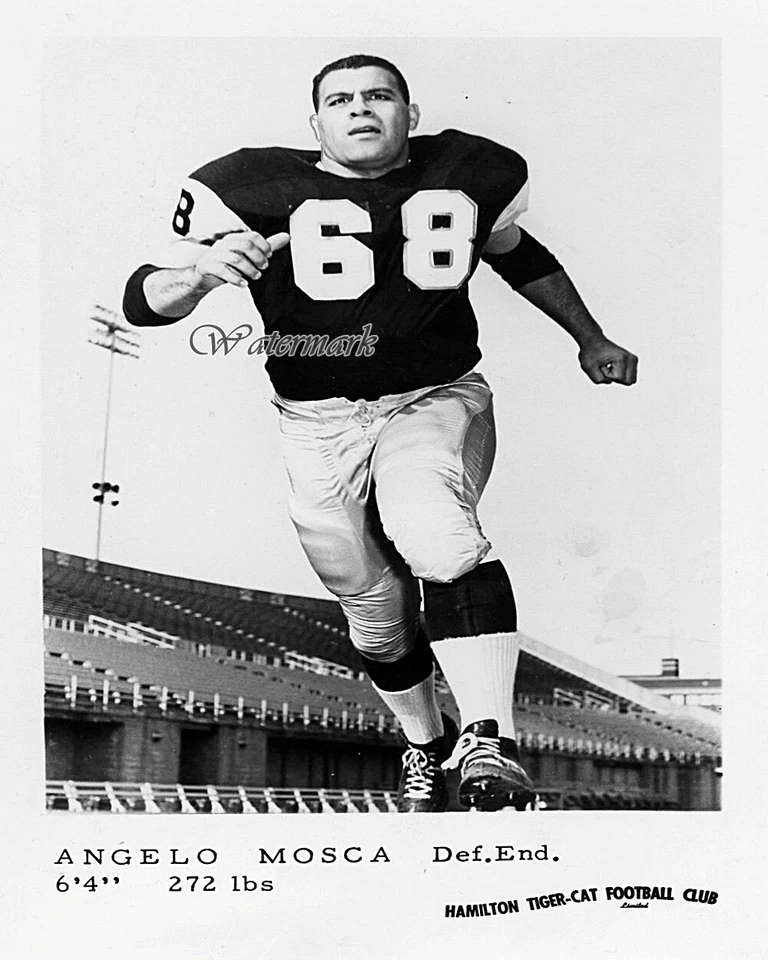 CFL Hamilton Tigre Gatos Angelo Mosca Blanco y Negro 8 X 10 Foto Imagen Foto 1 de 1