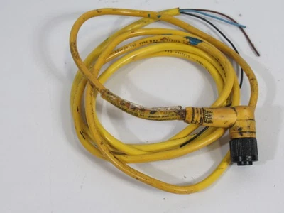 Brad Harrison 803001A09M020 90DEG Angle Cordset 4A@250V 1.5m *Cut Cable* USED - Image 1 of 3