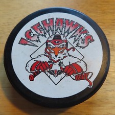 Vintage International Hockey League PORT HURON ICEHAWKS (IHL) Lindsay Puck