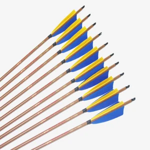 12pcs Carbon Arrows Spine500 5"Turkey feather wood skin traditional bow - Picture 1 of 5