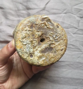 Rare Large Pliosaur Sp Vertebra Bone Fossil From The Uk Jurassic Kimmeridge Clay - Picture 1 of 5