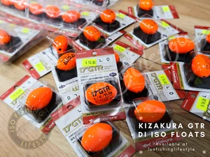 Kizakura GTR 2017 - L - Picture 1 of 8