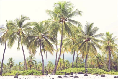 Тропический пляж искусства печати Майами винтажный стены искусства домашнего декора - плакат 20 x 30 - Изображение 1 из 4