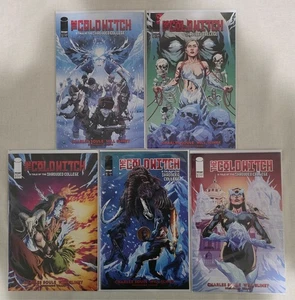 The Cold Witch: A Tale of the Shrouded College #1-5 Complete Series Set - Picture 1 of 6