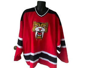 VINTAGE FLORIDA PANTHERS NHL HOCKEY ON ICE AUTHENTIC CCM JERSEY SZ-XXL #29 - Picture 1 of 5