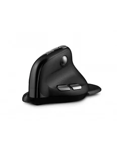 Urban Factory ERGO Max mouse Office Right-hand RF Wireless + Bluetooth 4000 D... - Picture 1 of 1