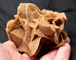3.5" DESERT ROSE GYPSUM from Morocco  - Picture 1 of 10
