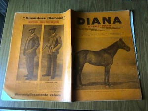 DIANA IL FIELD D' ITALIA RIVISTA D' ARTE VENATORIA TIRI E SPORT N. 6 ANNO 1909 - Imagen 1 de 4