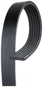 Serpentine Belt-Premium OE Micro-V Belt Gates K060875