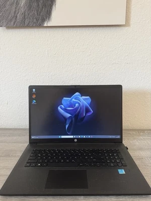 HP 17  Notebook ( 43,9 cm/17,3 Zoll, Intel Pentium Gold 7505, UHD Grafik, 512 GB - Bild 1 von 4