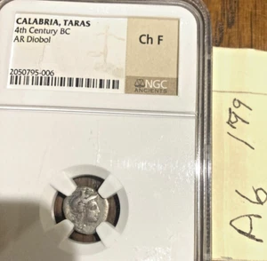Casa rodante Calabria Taras 4th bc ar diobol. HERCULES LION DE LUCHA NGC CH - Imagen 1 de 2