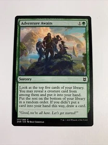 MTG Zendikar Rising Adventure Awaits 177/280 Magic the Gathering - Picture 1 of 5