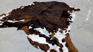 Alfombra de cuero de vaca tricolor Brindle - tamaño 7'-8'x6' pies - alfombra de piso de piel real - Imagen 1 de 5