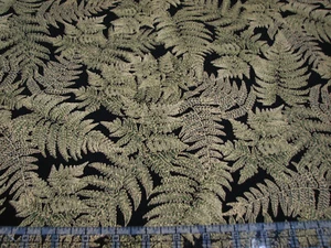 Tela de algodón edredón de 3 yardas - Tesoros atemporales cosecha helecho frondas metálico azul - Imagen 1 de 1