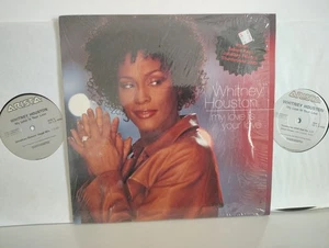 WHITNEY HOUSTON - "MY LOVE IS YOUR LOVE" / 2X12" w/ 7 MIXES / ARISTA RECORDS '99 - Imagen 1 de 6