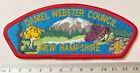 Daniel Webster Council S2b New Hampshire BSA Boy Scouts CSP Vintage