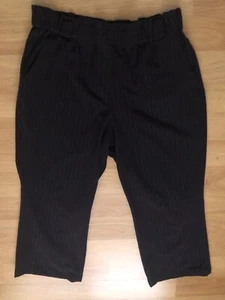 3X / 4X / 22 ~ STRETCH PAPER BAG PINSTRIPED Dress Pants  Lane Bryant - Picture 1 of 4
