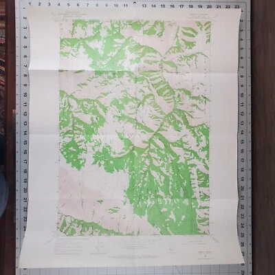 Joseph Plains Idaho Quadrangle 1963 USGS mapa topográfico serie de 7,5 minutos Foto 1 de 4
