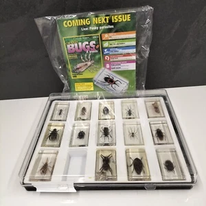 National Geographic Real Life Bugs And Insects Magazines And Bugs - Bild 1 von 8