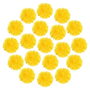 20Pcs Carta Pom Poms,12" Carta Fiore Fazzoletto Fiori di Carta per Compleanni Giallo - Foto 1 di 6