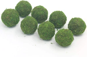 Handmade Natural Green Plant Moss Balls Decorative for Home Party Display Decor - Picture 1 of 6