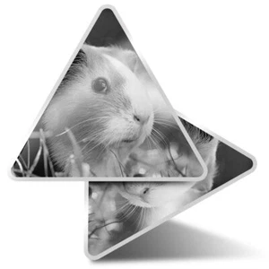 2 x Triangle Stickers 10cm - BW - Tri-Colour Guinea Pig Animals Cute Pets #409 - Bild 1 von 9