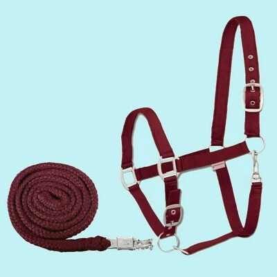 Pferde Halfter + Strick Set Waldhausen SATIN bordeaux rot Shetty Pony VB WB - Bild 1 von 2