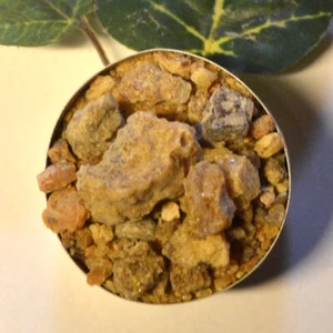 450 €/1 kg Sal Harz - Salharz - Räucherharz Weihrauch - Shorea robusta - Heilung - Bild 1 von 2