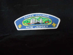 Essex Council t1 csp - Picture 1 of 1