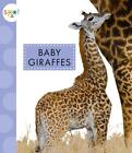 Baby Giraffes by K.C. Kelley (English) Paperback Book
