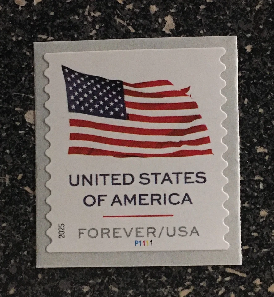 2025USA #6018 Forever US Flag - PNC (#P1111) Plate Number Coil Single APU SPACES - Image 1 of 1