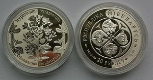 Belarus 20 roubles 2013 "Square-stemmed St. John’s-wort" Silver coin PROOF - Picture 1 of 1