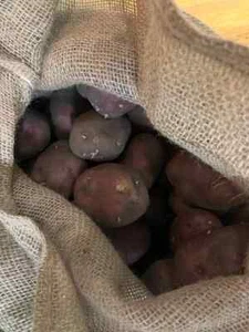 Certified First Grade Dark Red Norland Seed Potatoes Non GMO - Picture 1 of 3