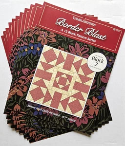 Thimbleberries BORDER BLAST Quilt Block Pattern Series Blocks 2 thru 12 HTF 2010 - Picture 1 of 5