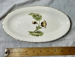 Vintage kleine ovale Platte aus dem Delmar Begonia Muster von Crooksville China - Bild 1 von 7