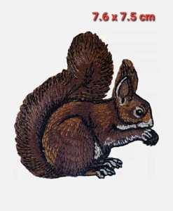 Squirrel Patch Iron Sew On T Shirt Jacket Jeans Dress Embroidered Animal Badge - Picture 1 of 1