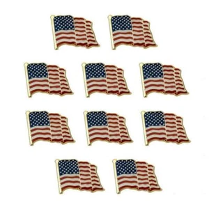 Juego de 10 pines de bandera de Estados Unidos de 0,8" con esmalte de bandera estadounidense ondeando - Imagen 1 de 4