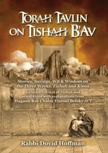 TORAH TAVLIN ON TISHA B'AV By Rabbi Dovid Hoffman - Picture 1 of 1