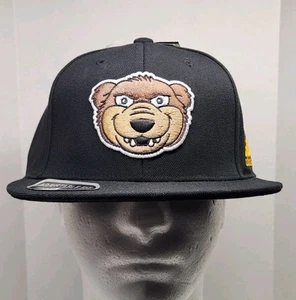 Adidas GH0844 Flat Brim NHL Boston Bruins Snap Back Cap ~ NEW WITH TAGS  - Picture 1 of 10