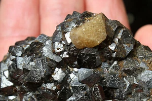 122 g NATURAL Romboide Andradita Granate Racimo y Espécimen Wolframín/China 1 - Imagen 1 de 10