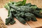 BLACK MAGIC KALE NON-GMO HEIRLOOM great for juicing and sauté! VERY NUTRITIOUS!!