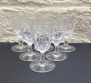 Set 6 contemporary Webb Corbett WEC66 floral daisies & dots sherry port glasses - Picture 1 of 7