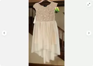 Zunie Toddler Girl's Floral Tulle Dress Low Party Dress(CHAMPAGNE 6)NWT - Picture 1 of 6