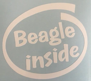 BEAGLE INSIDE DOG ON BOARD CAR WINDOW STICKER DECAL IN WHITE ALL COLOURS MADE - Picture 1 of 4