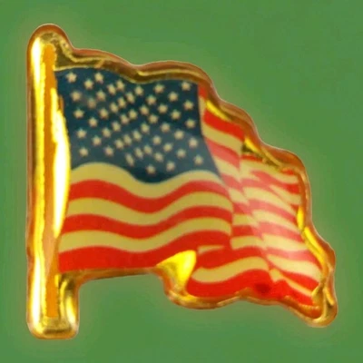 Prendedor de solapa bandera americana rojo blanco azul dorado ondeando patriótico coleccionable Foto 1 de 4