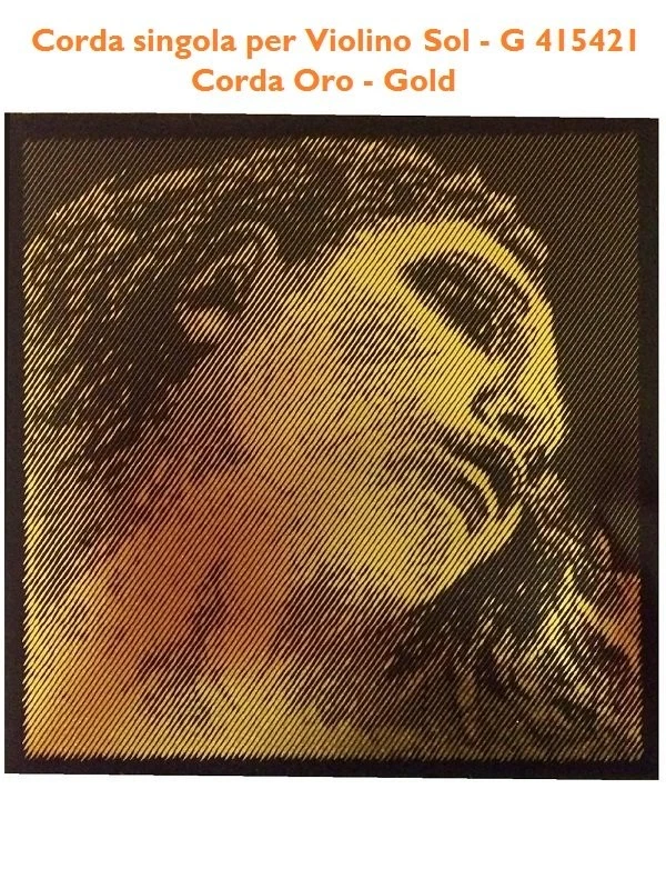 Corda per violino 4/4 Sol - G Pirastro Evah Pirazzi 415421 - Immagine 1 di 1