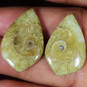 100% Natural AMMONITE FOSSIL Pair Cabochon Gemstones 39.85 Cts 18x28x4 mm CS_838 - Picture 1 of 7