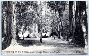Postkarte Camping am Big Basin California Redwood Park CA Santa Cruz County C152 - Bild 1 von 2